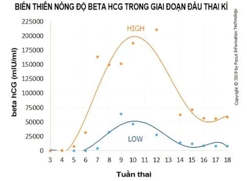 Biến thiên nồng độ β-hCG giai đoạn đầu thai kỳ