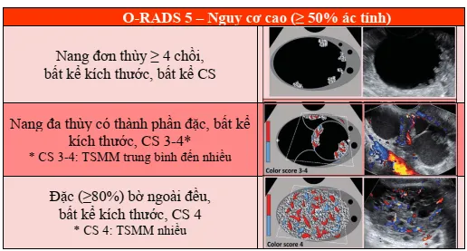 O-RADS 5