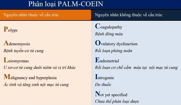 Phân loại PALM-COEIN