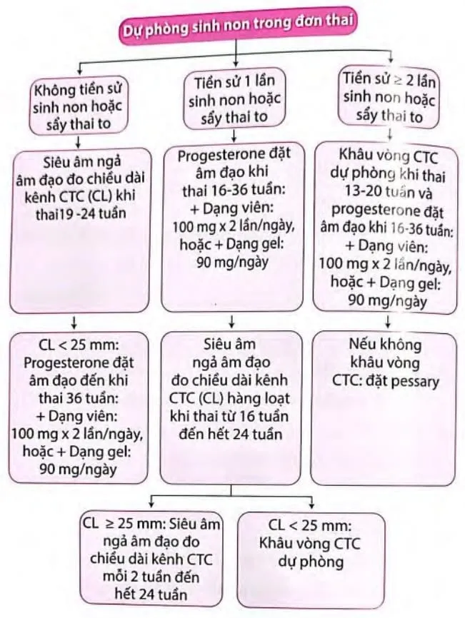 Lưu đồ dự phòng sinh non đơn thai bệnh viện Từ Dũ.