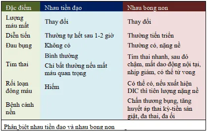 Phân biệt rau tiền đạo và rau cài răng lược