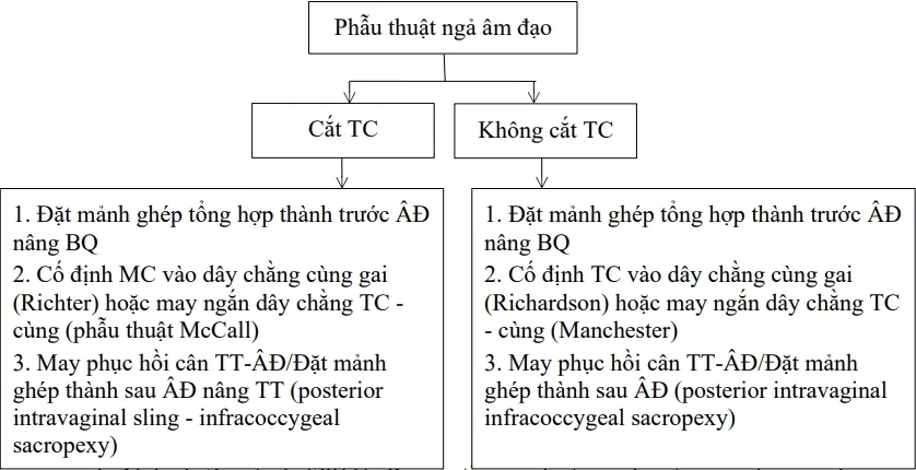 Phẫu thuật đường âm đạo