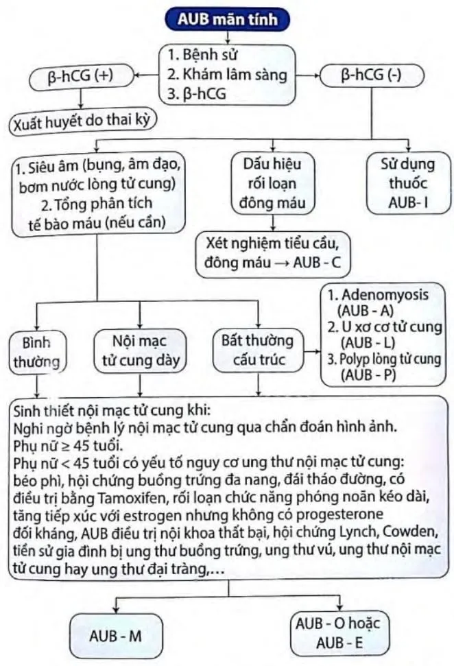 Sơ đồ tiếp cận AUB mạn tính